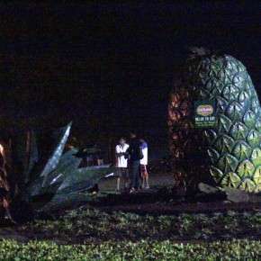 npa rebels attack del monte bukidnon